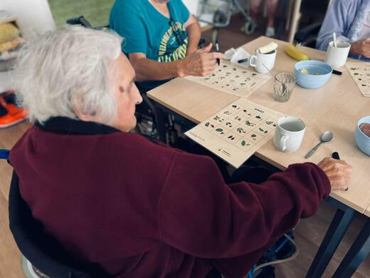 bingo (6).jpg