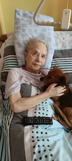  canis25 (10).jpg