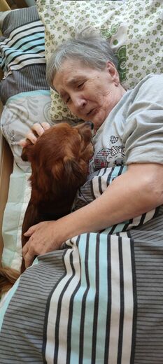  canis25 (12).jpg