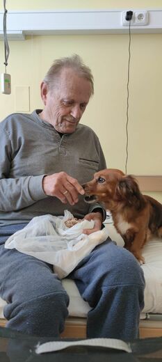  canis25 (14).jpg