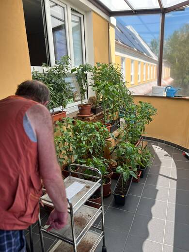 chilli26 (2).jpeg
