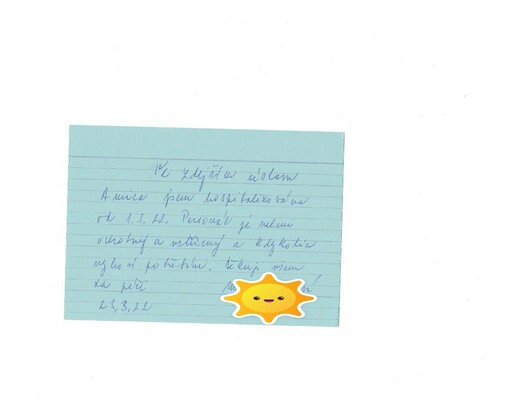 p13.jpg
