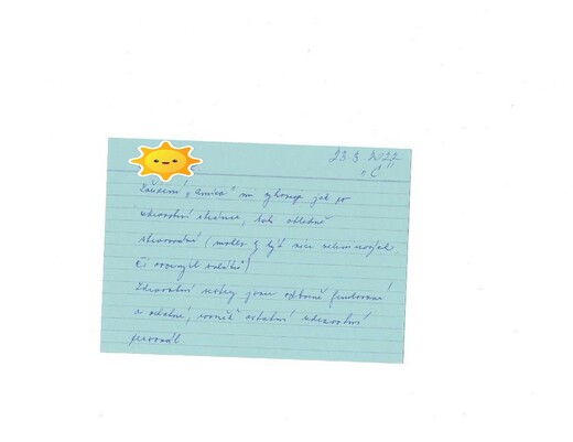 p19.jpg